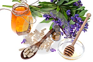 Medicinal herbs, honey, natural capsules and pills in medicine