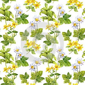 Medicinal herbs, medical flowers . Herbal, floral repeating pattern. Watercolor