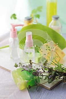 Medicinal herbs, natural soap, tincture and aromatic oil on a wooden table