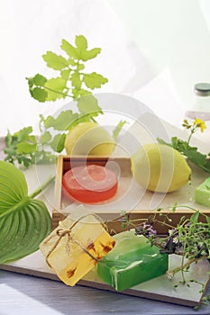 Medicinal herbs, natural soap, tincture and aromatic oil on a wooden table