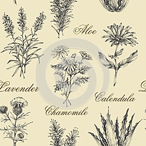 Medicinal herbs pattern