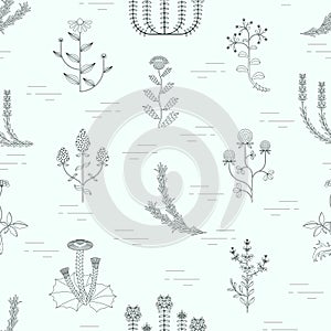 Medicinal herbs seamless pattern