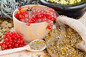 Medicinal herbs on table