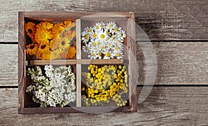 Medicinal herbs tansy daisy calendula yarrow in an old wooden box on the table