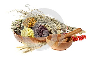 Medicinal herbs on the white background