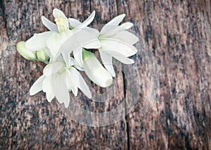 Medicinal moringa flower