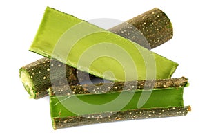 Medicinal moringa oleifera tree branches and bark over white background