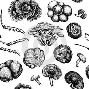 Medicinal mushroom background. Hand sketched adaptogenic plants seamless pattern. Perfect for recipe, menu, label, packaging. Hand