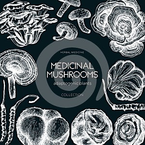 Medicinal mushroom frame on chalkboard. Hand-drawn vector illustration. Adaptogenic plants sketches. For recipe, menu, label,