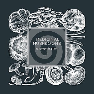 Medicinal mushroom frame on chalkboard. Hand-sketched adaptogenic plants wreath design. Perfect for recipe, menu, label, packaging