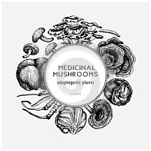 Medicinal mushroom illustrations wreath. Hand-sketched adaptogenic plants frame design. Perfect for recipe, menu, label, packaging