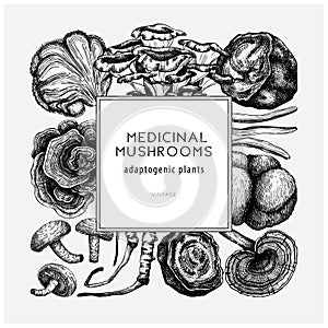 Medicinal mushroom square design. Hand-sketched adaptogenic plants frame. Perfect for recipe, menu, label, packaging. Hand