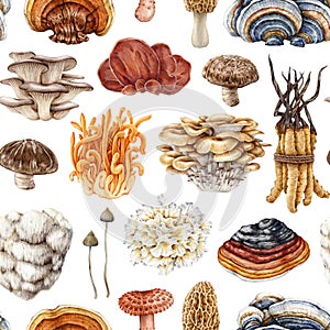 Medicinal mushrooms seamless pattern. Watercolor illustration. Hand painted vintage style fungi elements. Reishi
