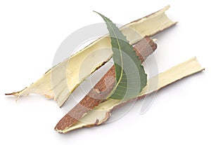 Medicinal neem barks