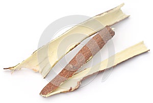 Medicinal neem barks