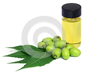 Medicinal neem extract with fruits and leaves