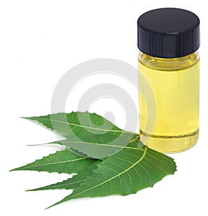 Medicinal neem extract with leaves