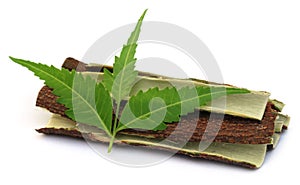 Medicinal neem leaves with bark of tree