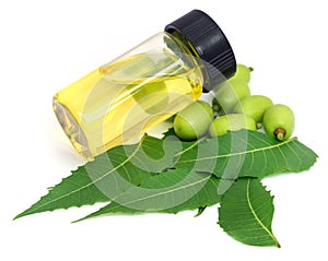 Medicinal neem leaves with essential oil