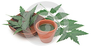 Medicinal neem leaves with extract