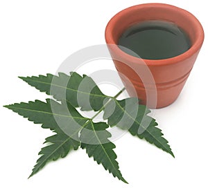 Medicinal neem leaves with extract