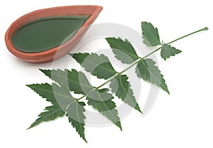 Medicinal neem leaves with extract