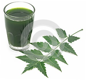 Medicinal neem leaves with extract