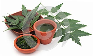 Medicinal neem leaves with extract