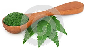 Medicinal neem leaves with ground paste