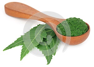 Medicinal neem leaves with ground paste