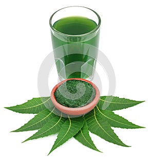 Medicinal neem leaves with ground paste and extract
