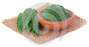 Medicinal neem leaves with ground paste