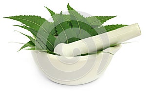 Medicinal neem leaves in a mortar