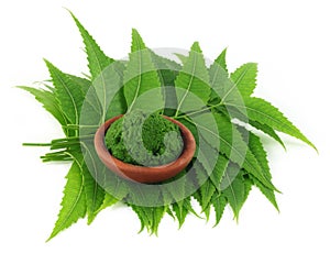 Medicinal neem leaves with paste