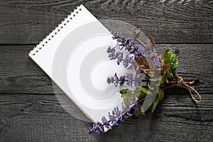 Medicinal plant Ajuga reptans and notebook