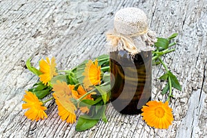 Medicinal plant calendula and pharmaceutical bottle