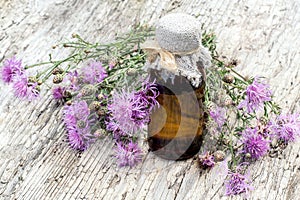 Medicinal plant Centaurea jacea and pharmaceutical bottle