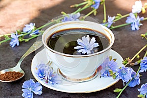 Medicinal plant chicory: flowers and ground roots. The roots of the plants are used as a substitute for coffee. Drink from chicory