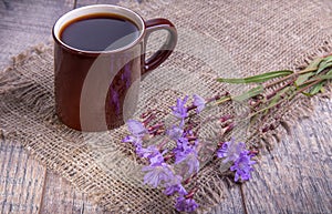 Medicinal plant chicory: flowers. The roots of the plants are used as a substitute for coffee. Drink from chicory in a