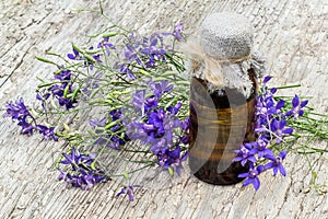 Medicinal plant Consolida regalis (Forking Larkspur) and pharmaceutical bottle