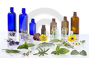 Medicinal plant and flower selection , peppermint, passiflora,, sage, thyme, lavender, marygold, lemon balm with an