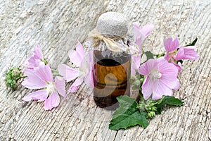 Medicinal plant Malva moschata and pharmaceutical bottle