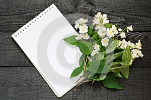 Medicinal plant philadelphus mock-orange and notebook