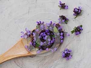 Medicinal plant Prunella vulgaris with blue flowers in a wooden spoon on a white stand closeup, top view. Useful herb