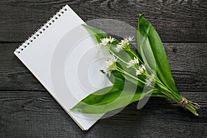 Medicinal plant ramson allium ursinum and notebook