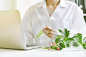 Medicinal plant research, Scientist studying organic herbal for new drug medicine.