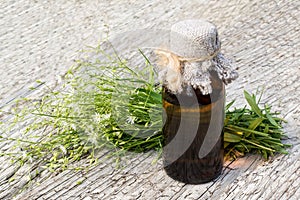 Medicinal plant Stellaria holostea and pharmaceutical bottle photo