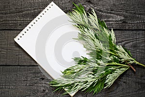 Medicinal plant wormwood Artemisia absinthium and notebook