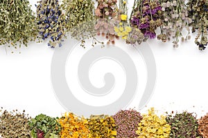 Medicinal plants bunches and piles of medicinal herbs on white background. Top view. Alternative medicine. Copy space