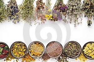 Medicinal plants bunches and row of bowls with dry medicinal herbs on white background. Top view, flat lay. Alternative medicine. photo